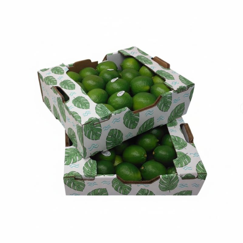 RB-218 Fruit Rigid Box
